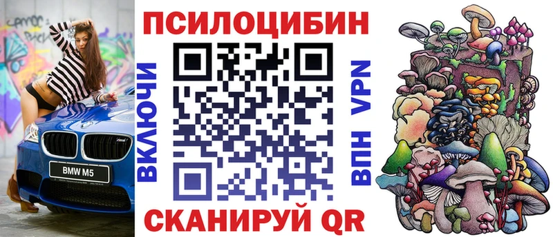 МЕГА зеркало  купить  цена  Колпашево  Псилоцибиновые грибы Psilocybine cubensis 
